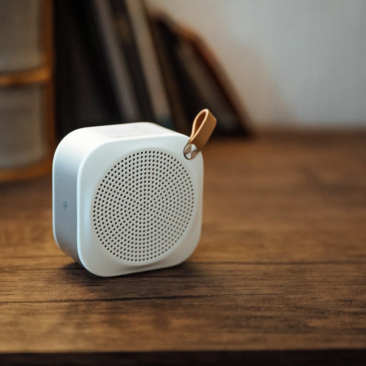 Speaker P168A